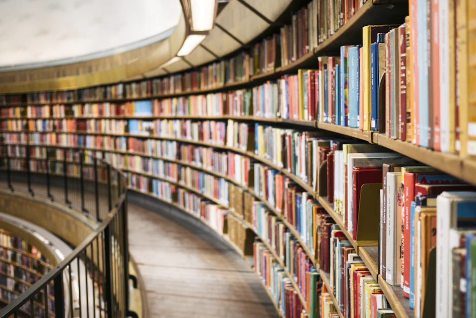 Books on brown wooden shelf